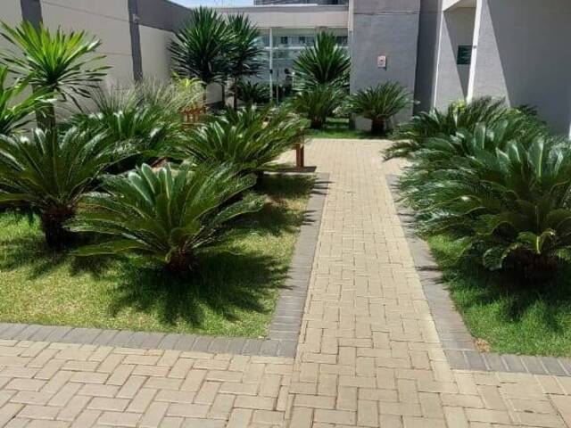 #38 - Apartamento para Locação em Londrina - PR - 2